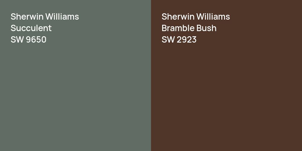 Sherwin Williams Succulent vs. Sherwin Williams Bramble Bush