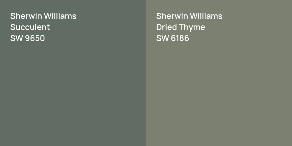 Sherwin Williams Succulent vs. Sherwin Williams Dried Thyme