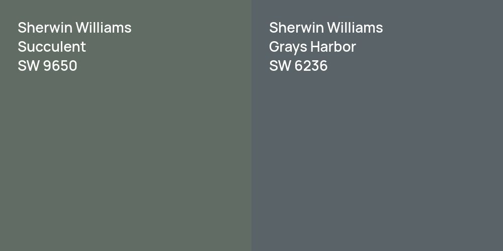 Sherwin Williams Succulent vs. Sherwin Williams Grays Harbor