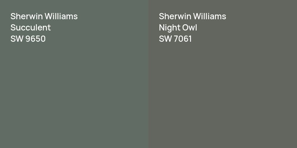 Sherwin Williams Succulent vs. Sherwin Williams Night Owl