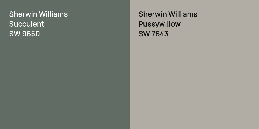 Sherwin Williams Succulent vs. Sherwin Williams Pussywillow