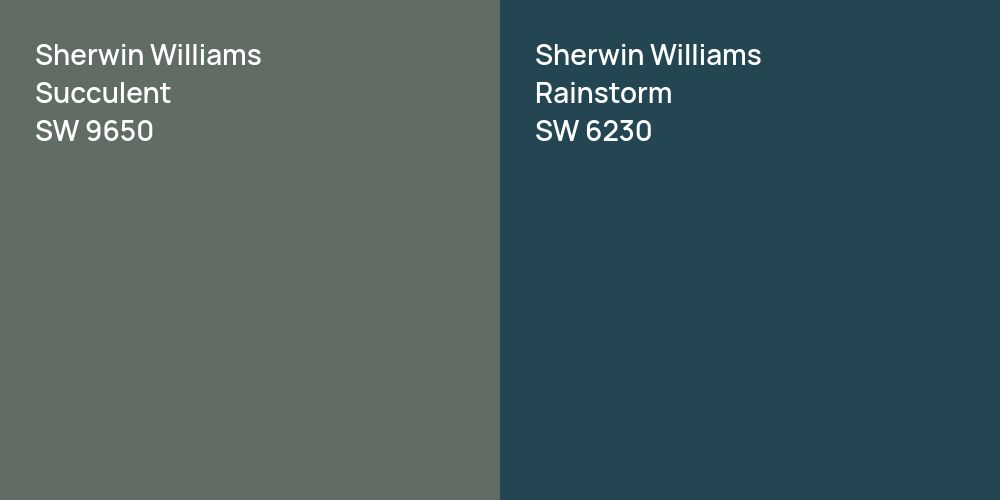 Sherwin Williams Succulent vs. Sherwin Williams Rainstorm