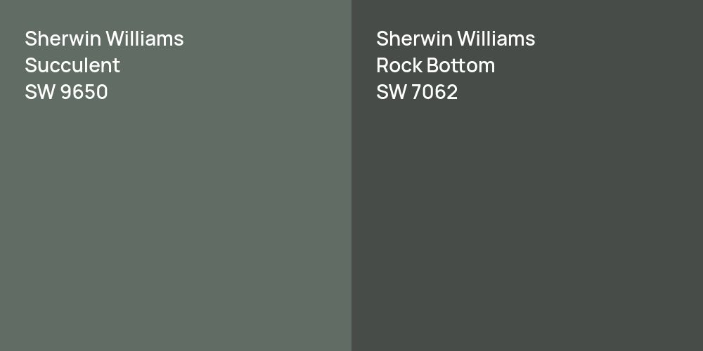 Sherwin Williams Succulent vs. Sherwin Williams Rock Bottom