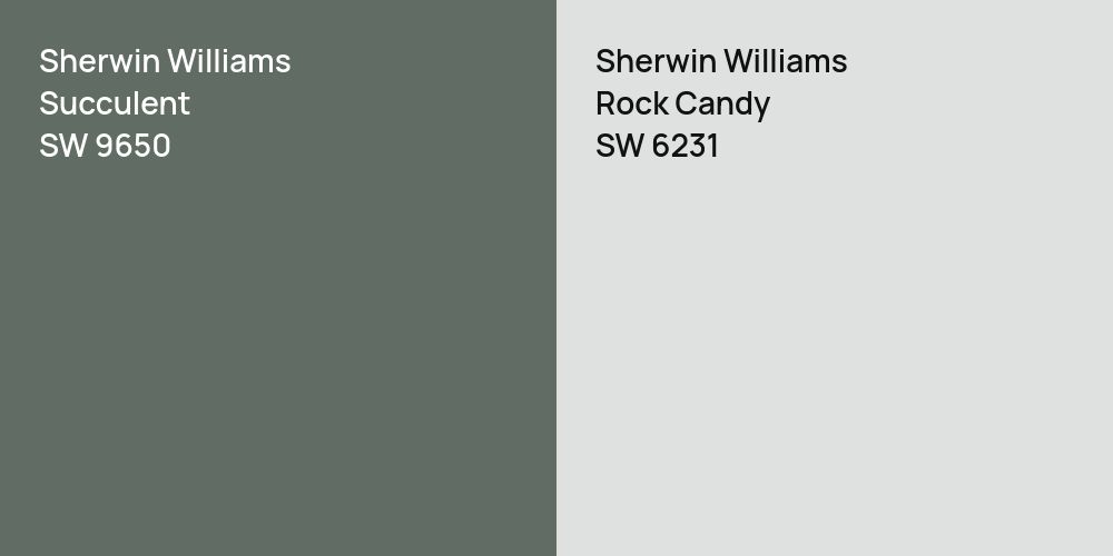 Sherwin Williams Succulent vs. Sherwin Williams Rock Candy