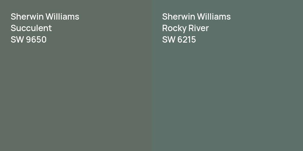 Sherwin Williams Succulent vs. Sherwin Williams Rocky River