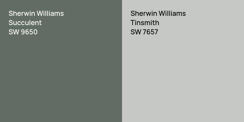 Sherwin Williams Succulent vs. Sherwin Williams Tinsmith