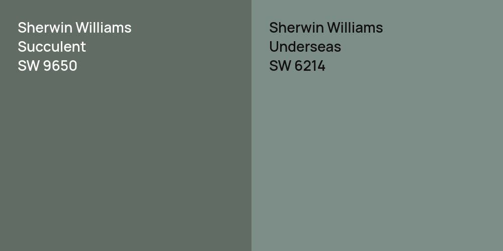 Sherwin Williams Succulent vs. Sherwin Williams Underseas