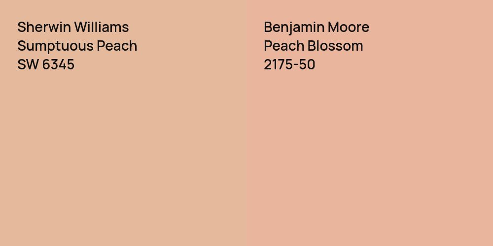 Sherwin Williams Sumptuous Peach vs. Benjamin Moore Peach Blossom