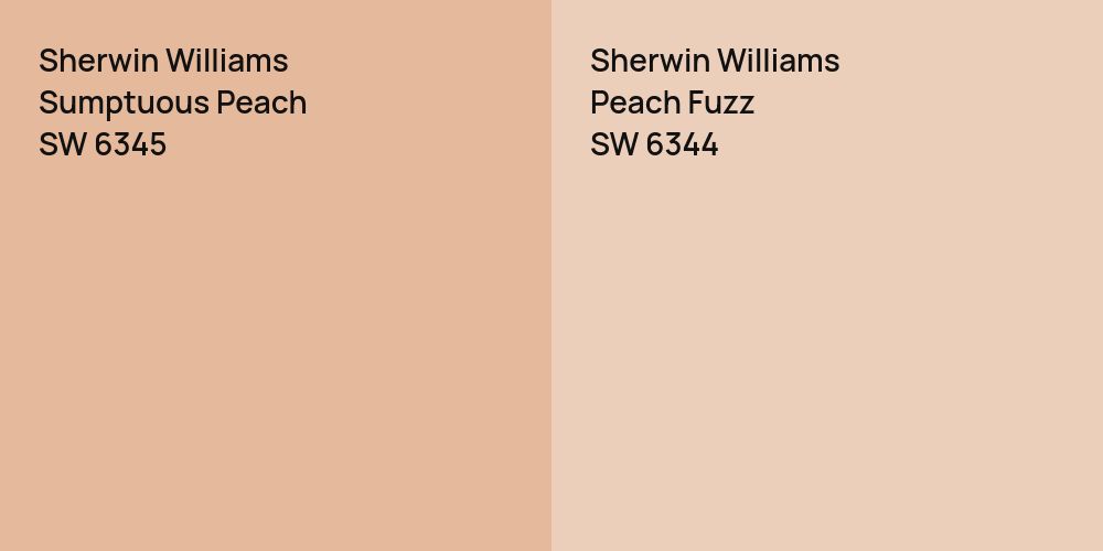 Sherwin Williams Sumptuous Peach vs. Sherwin Williams Peach Fuzz