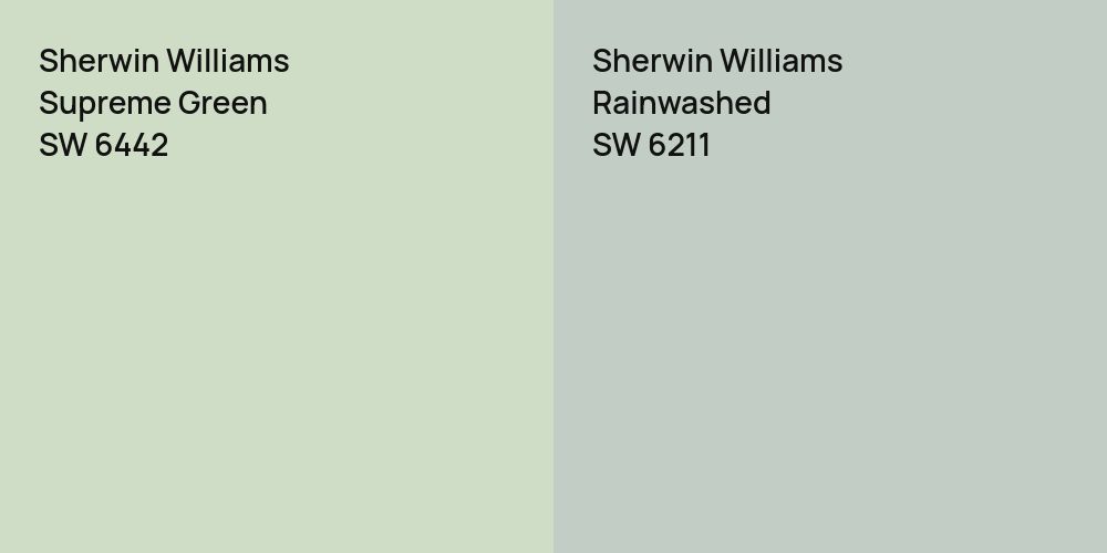 Sherwin Williams Supreme Green vs. Sherwin Williams Rainwashed