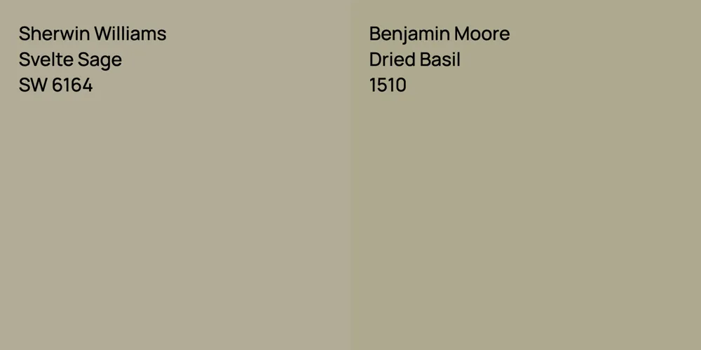 Sherwin Williams Svelte Sage vs. Benjamin Moore Dried Basil