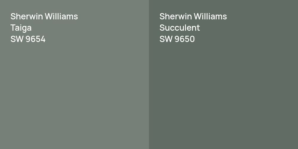 Sherwin Williams Taiga vs. Sherwin Williams Succulent