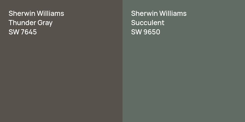 Sherwin Williams Thunder Gray vs. Sherwin Williams Succulent