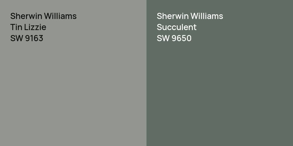 Sherwin Williams Tin Lizzie vs. Sherwin Williams Succulent