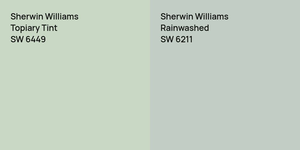 Sherwin Williams Topiary Tint vs. Sherwin Williams Rainwashed