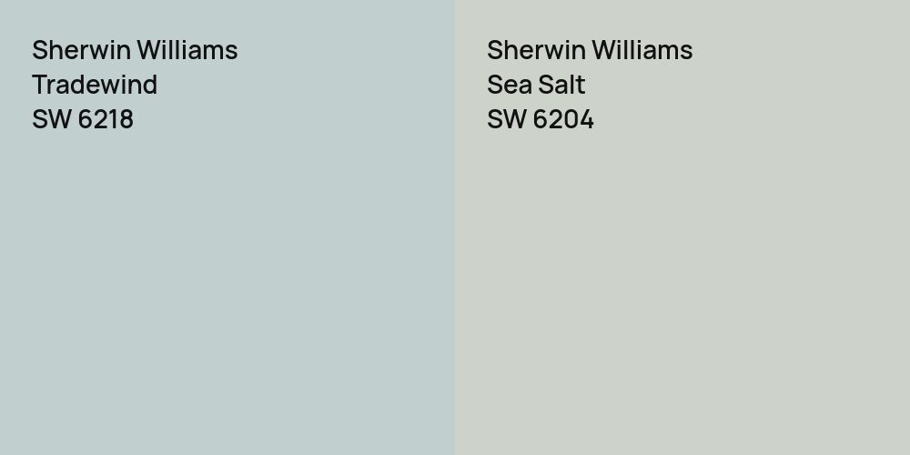 Sherwin Williams Tradewind vs. Sherwin Williams Sea Salt