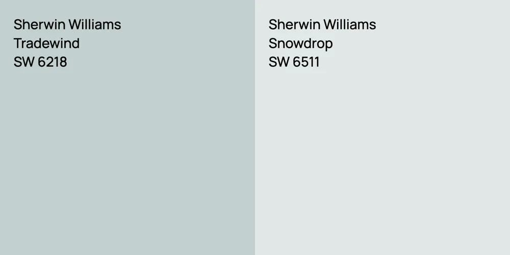 Sherwin Williams Tradewind vs. Sherwin Williams Snowdrop