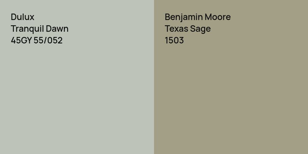 Dulux Tranquil Dawn vs. Benjamin Moore Texas Sage