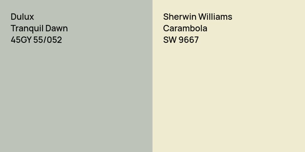 Dulux Tranquil Dawn vs. Sherwin Williams Carambola