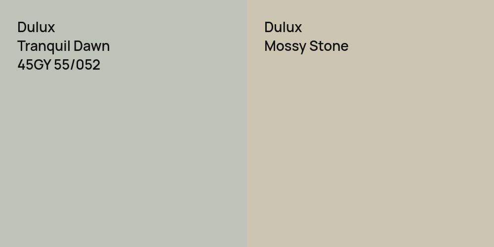 Dulux Tranquil Dawn vs. Dulux Mossy Stone