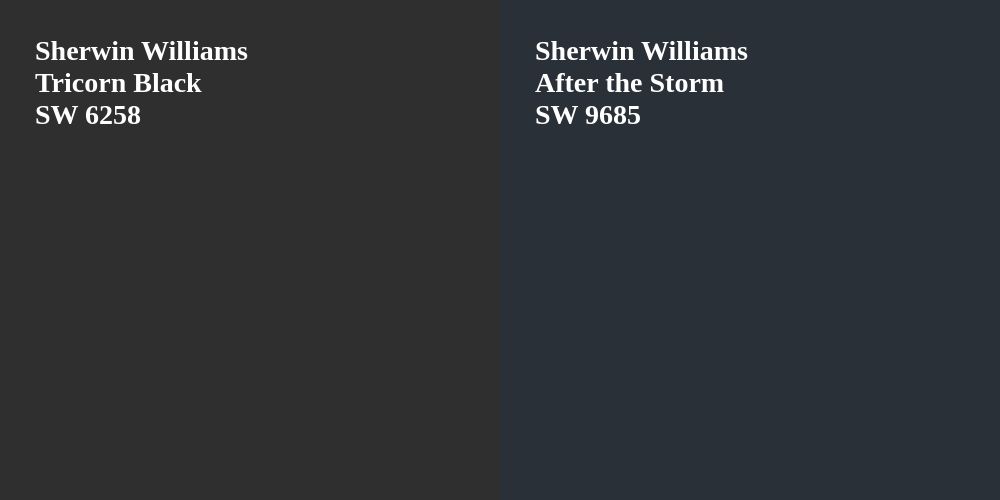 Sherwin Williams Tricorn Black vs. Sherwin Williams After the Storm