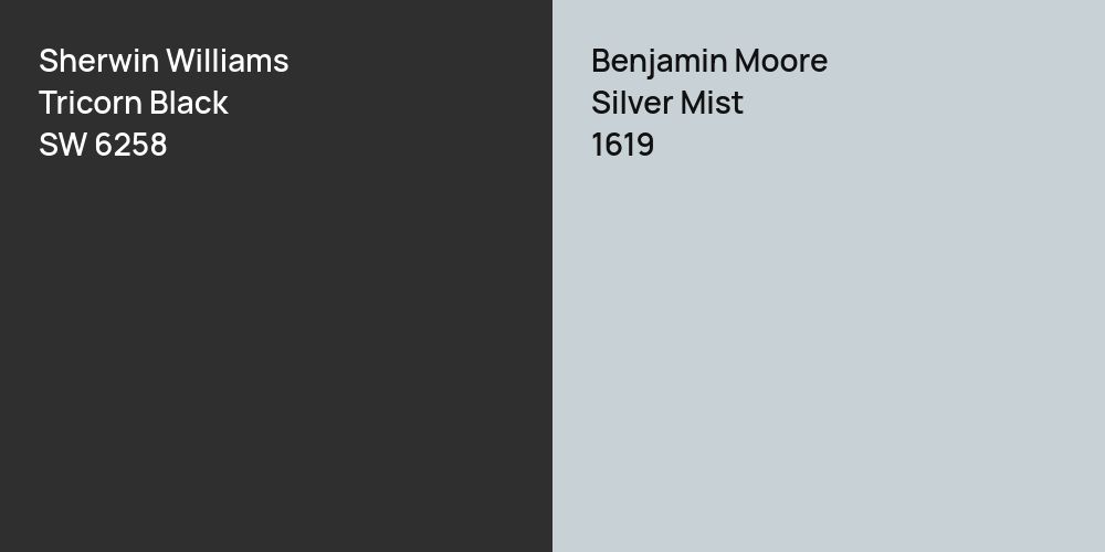 Sherwin Williams Tricorn Black vs. Benjamin Moore Silver Mist