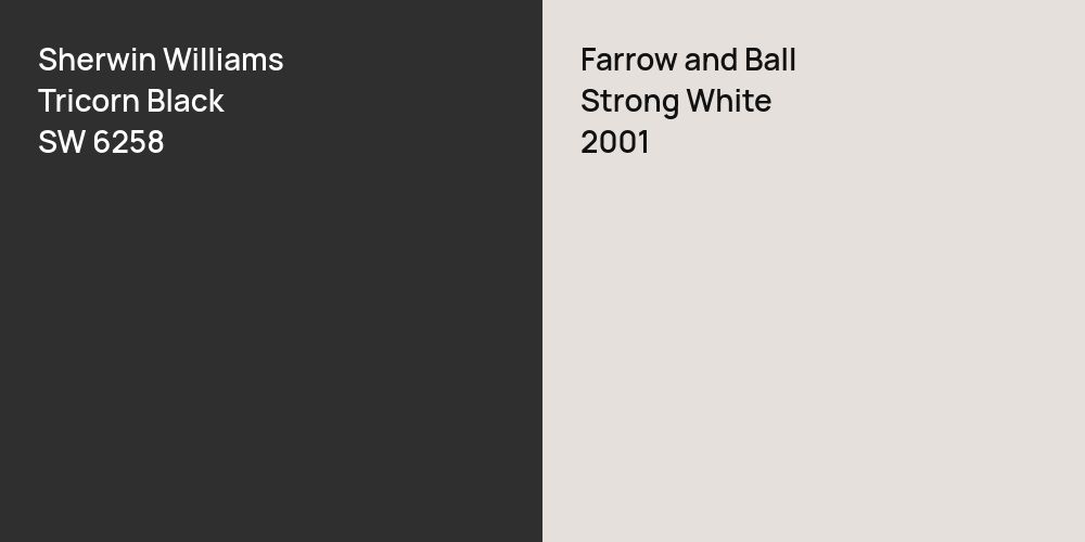 Sherwin Williams Tricorn Black vs. Farrow and Ball Strong White