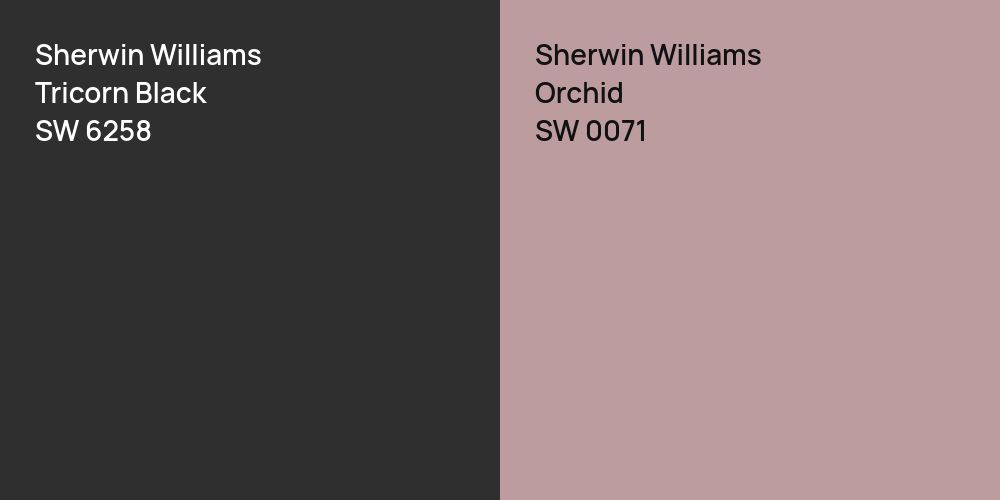 Sherwin Williams Tricorn Black vs. Sherwin Williams Orchid