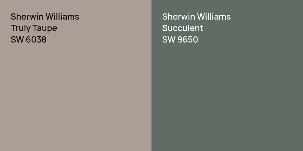 Sherwin Williams Truly Taupe vs. Sherwin Williams Succulent