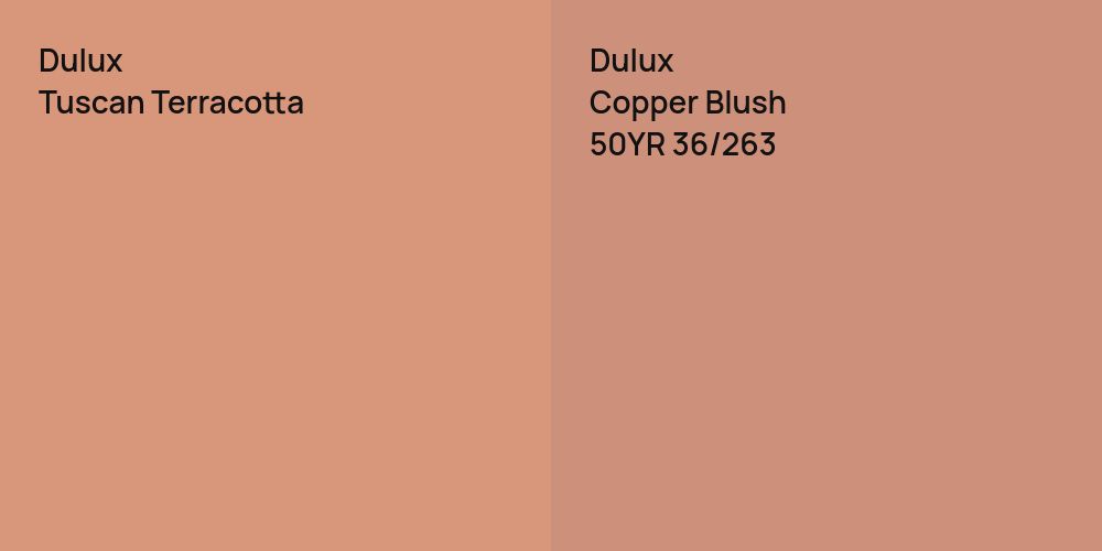 Dulux Tuscan Terracotta vs. Dulux Copper Blush