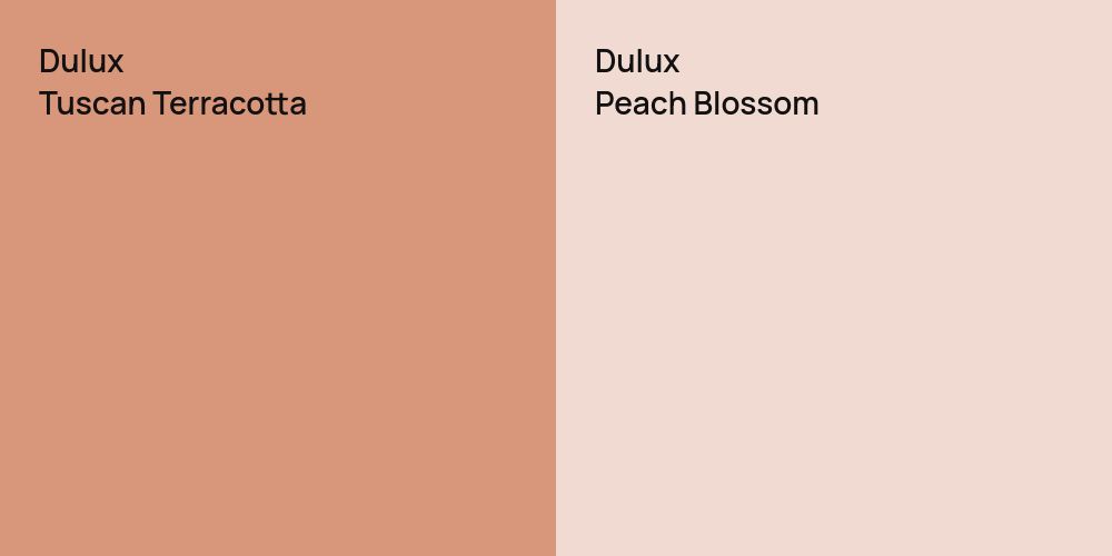 Dulux Tuscan Terracotta vs. Dulux Peach Blossom