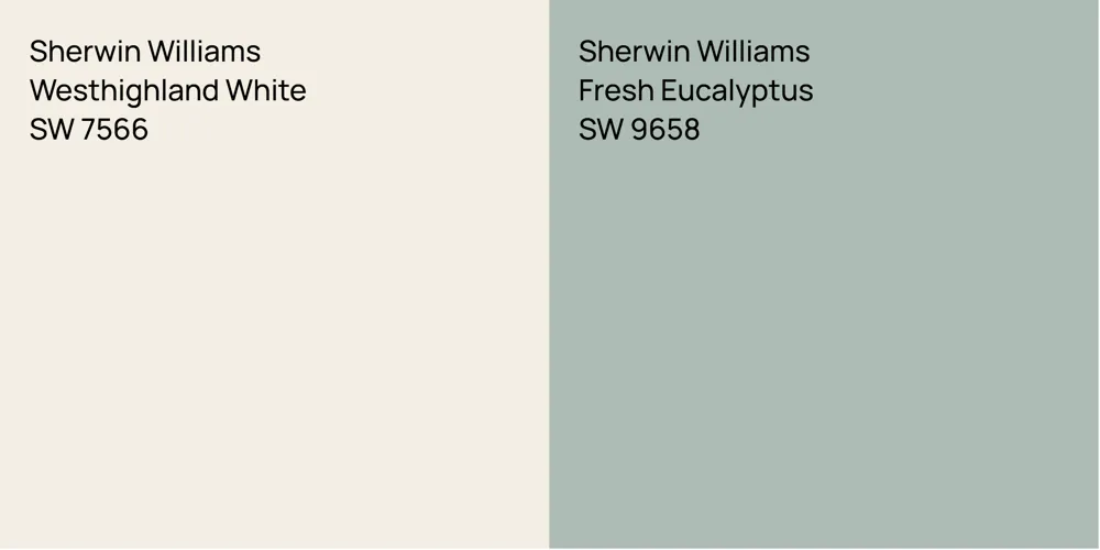 Sherwin Williams Westhighland White vs. Sherwin Williams Fresh Eucalyptus