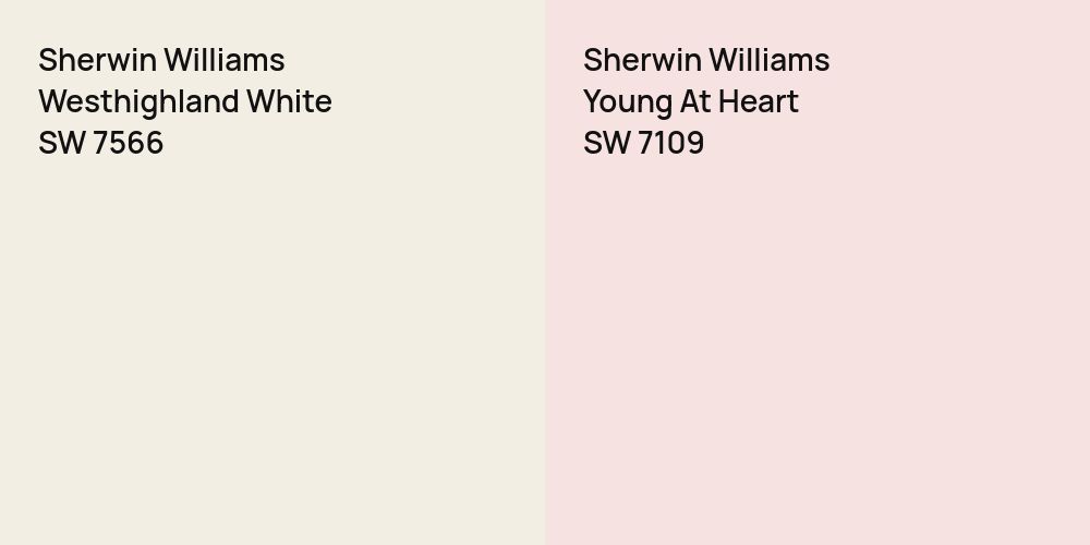 Sherwin Williams Westhighland White vs. Sherwin Williams Young At Heart