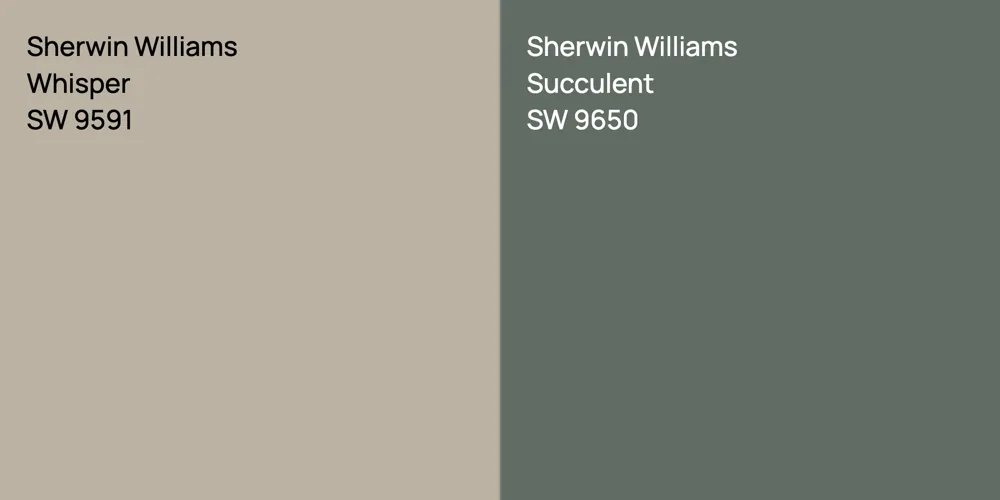 Sherwin Williams Whisper vs. Sherwin Williams Succulent