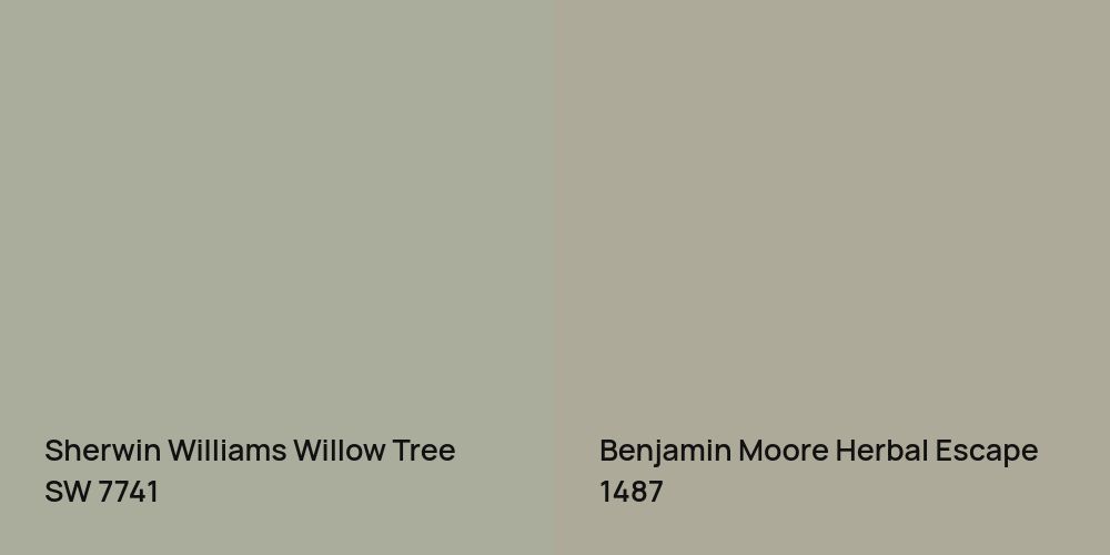 Sherwin Williams Willow Tree vs. Benjamin Moore Herbal Escape