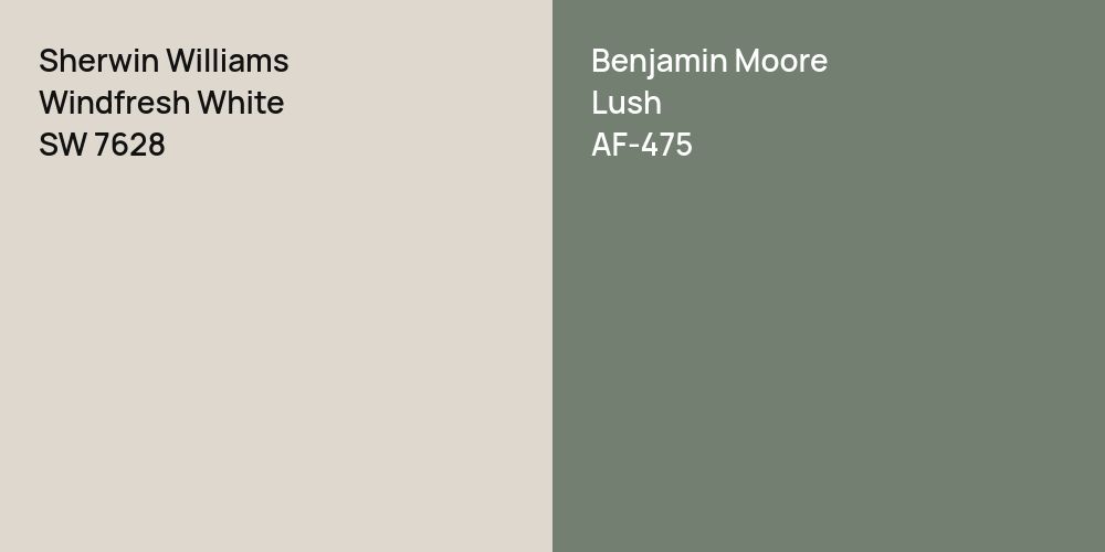 Sherwin Williams Windfresh White vs. Benjamin Moore Lush