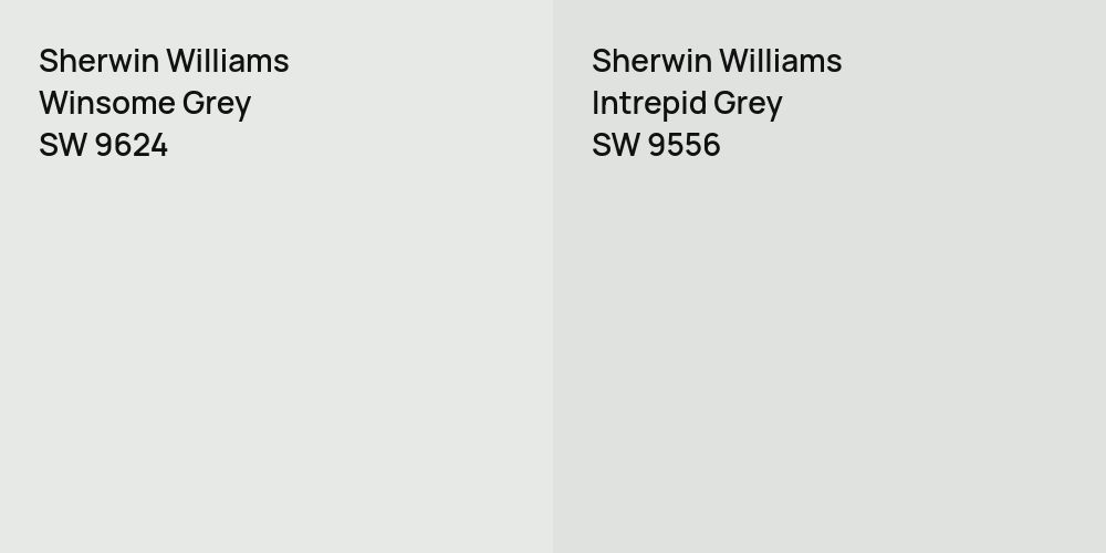 Sherwin Williams Winsome Grey vs. Sherwin Williams Intrepid Grey