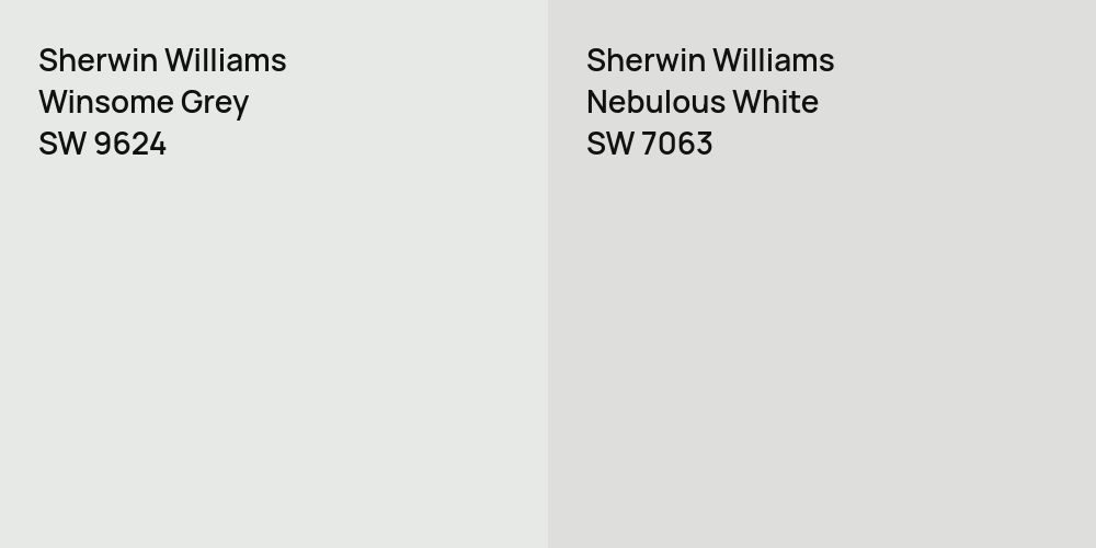 Sherwin Williams Winsome Grey vs. Sherwin Williams Nebulous White