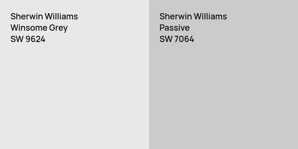 Sherwin Williams Winsome Grey vs. Sherwin Williams Passive