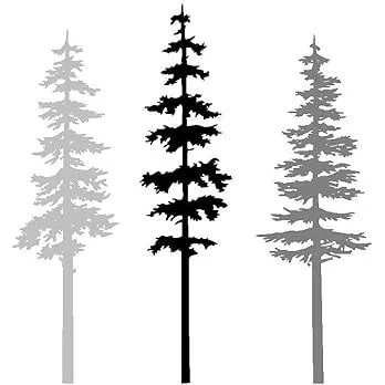 Pine Tree Wall Stickers Decals for Kids Room