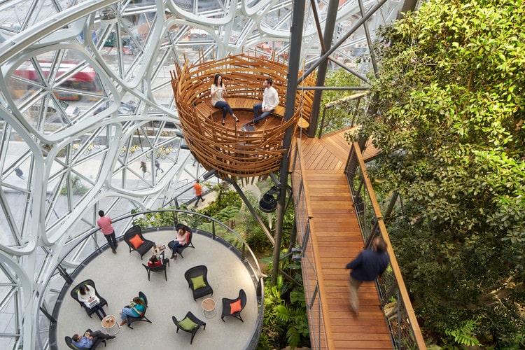 Amazon office Sphere